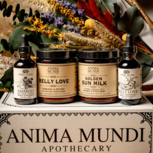 BELLY LOVE KIT | Metabolism + Gut Support*