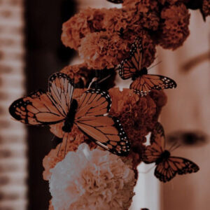 Ancestor Meeting: Spirit of Fire + Cacao