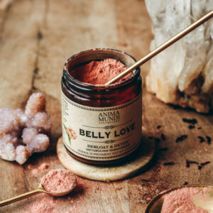 BELLY LOVE Powder | Digestive Harmonizer*