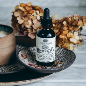ADAPTOGENIC Tonic | Organic, 7 Mushrooms, Camu Camu, Mangosteen