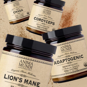 Adaptogenic Mushroom Set, Organic + Locally Grown | BUNDLE