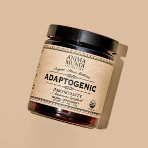 ADAPTOGENIC Powder | Organic, 7 Medicinal Mushrooms + Cacao