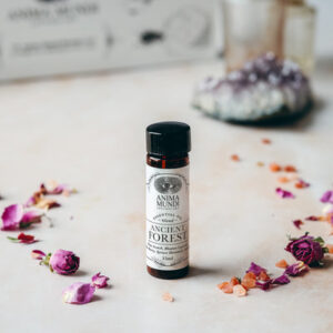 ANCIENT FOREST Essential Oil Blend
